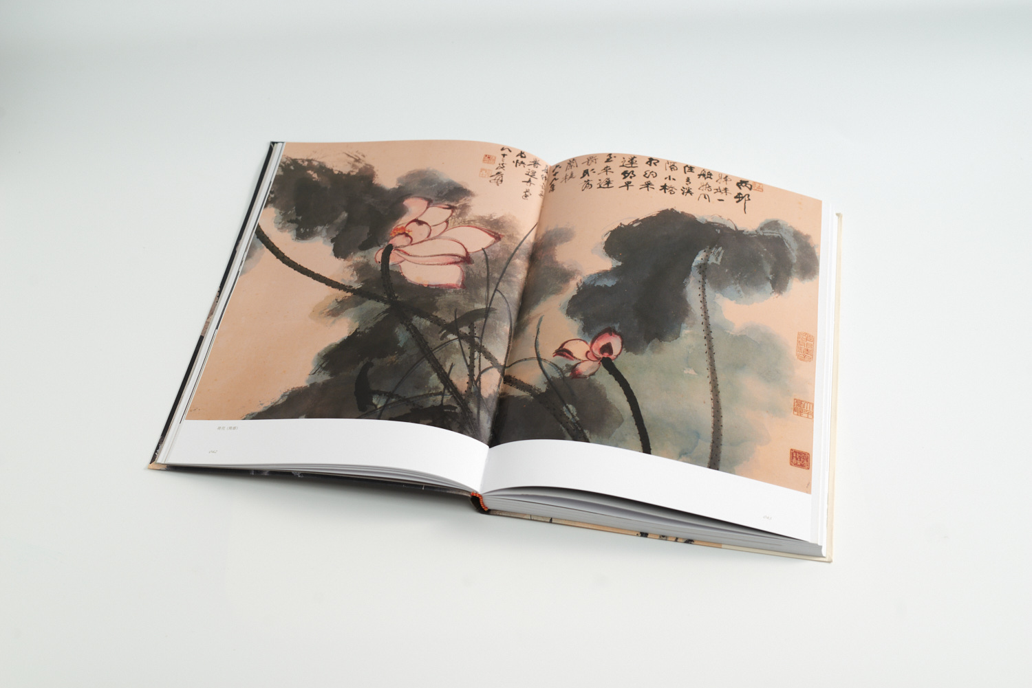 人間池塘：張大千、文人與荷花藝術大展 The Earthly Pond: Artworks of Lotus by Chang Dai-Chien and Other Artists